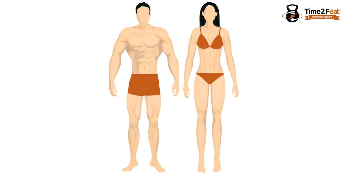 tipos de cuerpo segun biotipo tipo somatico cuerpo mesomorfo